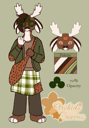 Jackalope Design